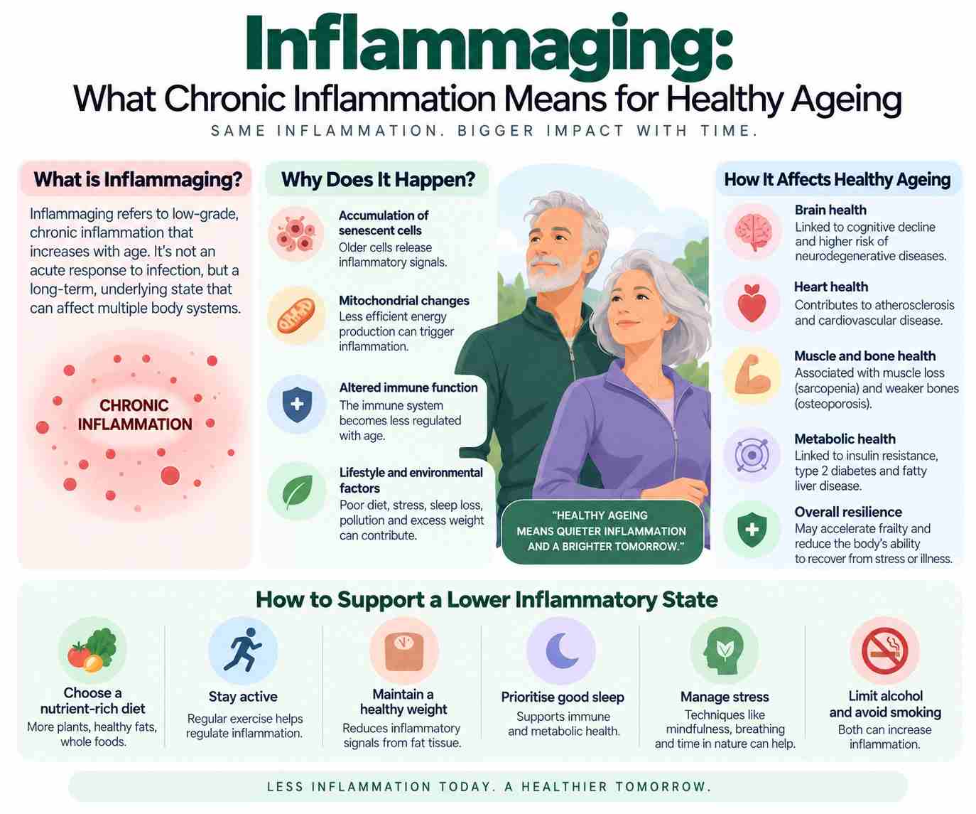 Inflammaging: What Chronic Inflammation Means for Healthy Ageing